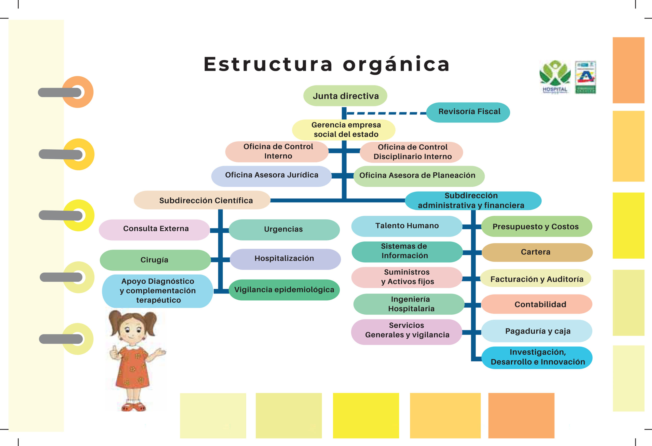 1.2 Estructura orgánica - organigrama - Hospital Susana López de Valencia